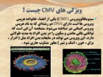 دانلود فایل پاورپوینت اپیدمیولوژی سایتو مگالو ویروس ( cmv ) صفحه 2 