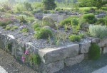 دانلود فایل پاورپوینت باغهای صخره‌ای و کاربرد آن در معماری فضای سبز صفحه 10 