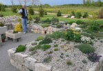 دانلود فایل پاورپوینت باغهای صخره‌ای و کاربرد آن در معماری فضای سبز صفحه 16 