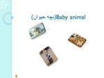 دانولد فایل پاورپوینت ( بچه حیوان ) Baby animal صفحه 1 