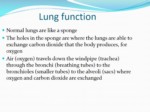 دانلود فایل پاورپوینت بیماریهای مزمن انسدادی ریه COPD صفحه 3 
