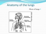 دانلود فایل پاورپوینت بیماریهای مزمن انسدادی ریه COPD صفحه 6 