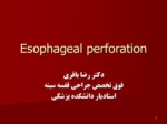 دانلود فایل پاورپوینت بیماری Esophageal perforation صفحه 1 