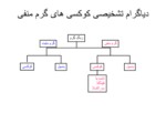 دانلود فایل پاورپوینت باسیلهای گرم منفی غیرتخمیری Gram - negative nonfermenter bacilli صفحه 7 