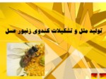 دانلود فایل پاورپوینت تولید مثل و تشکیلات کندوی زنبور عسل صفحه 2 