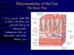 دانلود فایل پاورپوینت Gastrointestinal Physiology صفحه 2 