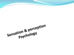 دانلود فایل پاورپوینت Sensation & perception Psychology صفحه 1 