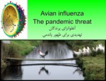 دانلود فایل پاورپوینت آنفلوانزای پرندگان تهدیدی برای ظهور پاندمی صفحه 1 