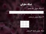 دانلود فایل پاورپوینت مفاهیم اتوماتای سلولی صفحه 5 