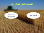 دانلود فایل پاورپوینت اقتصاد مقاومتی در توسعه کشاورزی صفحه 4 