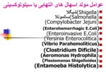 دانلود فایل پاورپوینت وبا صفحه 12 