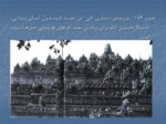 دانلود فایل پاورپوینت معبد بوروبودور صفحه 6 