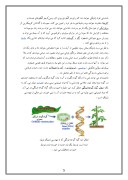 دانلود مقاله معرفی علم ژنتیک صفحه 5 