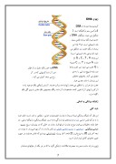 دانلود مقاله معرفی علم ژنتیک صفحه 7 