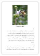 دانلود مقاله زنبورعسل صفحه 2 