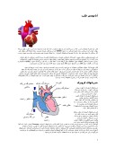 تحقیق در مورد آناتومی قلب صفحه 1 