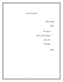 دانلود مقاله زند گی نامه سعدی صفحه 1 