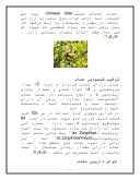 دانلود مقاله درمورد مشخصات تیره عناب Rhamnaceae صفحه 5 