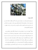 دانلود مقاله درختان میوه صفحه 3 