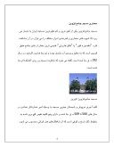 دانلود مقاله مسجد جامع قزوین صفحه 4 