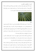 دانلود مقاله کاربرد آب مغناطیسی در کشاورزی صفحه 1 