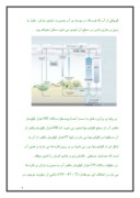 دانلود مقاله نقش جنگل در اقتصاد و کشاورزی ایران صفحه 4 