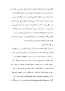 دانلود مقاله هنر و ادبیات در ایران و جهان صفحه 6 