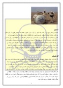 دانلود مقاله انواع سلاح های شیمیایی و میکروبی و مروری بر جنگ ایران و عراق صفحه 5 