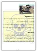 دانلود مقاله انواع سلاح های شیمیایی و میکروبی و مروری بر جنگ ایران و عراق صفحه 6 