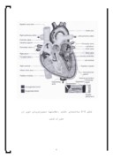 دانلود مقاله دستگاه گردش خون ( قلب ) صفحه 6 