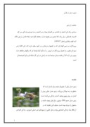 دانلود مقاله دانلود مقاله زنبور عسل در قرآن صفحه 1 