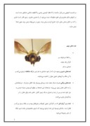 دانلود مقاله دانلود مقاله زنبور عسل در قرآن صفحه 3 