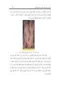 مقاله در مورد مروری بر هنر نمد مالی در استان فارس صفحه 8 