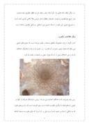 دانلود مقاله مسجد جامع نطنز و مقبره شیخ عدالصمد صفحه 5 