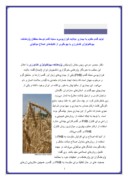 دانلود مقاله در مورد تولید گندم مقاوم به بیماری «بلایت فوزاریومی» سنبله گندم توسط محققان پژوهشکده بیوتکنولوژی کشاورزی با بهره‌گیری از تکنیک‌های اصلا صفحه 1 