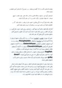 مقاله در مورد گورخر ایرانی صفحه 3 