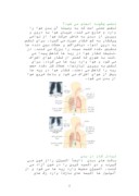 مقاله در مورد دستگاه تنفسی ( ‌بینی ) صفحه 2 