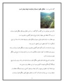 مقاله در مورد جنگلهای ارسباران صفحه 3 