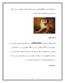 مقاله در مورد گربه سانان صفحه 5 