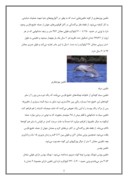 مقاله در مورد دلفین صفحه 2 