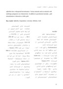 دانلود مقاله کانی سازی طلا در لیستونیتهای ایران مرکزی صفحه 4 