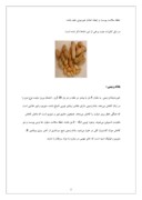 پروژه کارآفرینی فرآوری و بسته بندی خشکبار صفحه 5 