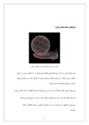 پروژه کارآفرینی تولید توپ ورزشی صفحه 4 