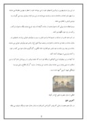 دانلود مقاله غدیر خم ، بزرگترین عید شیعیان صفحه 2 