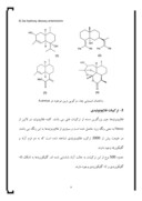 مقاله در مورد بررسی ترکیبات و اثر دارویی برخی گونه های متعلق به جنس آرتمیزیا Artemisia صفحه 9 