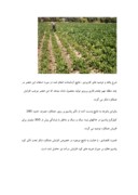 مقاله در مورد میزان پتاس مورد نیاز در زراعت چغندرقند صفحه 2 