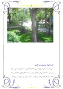 کارآموزی گیاهپزشکی شهرداری منطقه 19 تهران - چمن و چمن کاری صفحه 4 