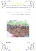 کارآموزی گیاهپزشکی شهرداری منطقه 19 تهران - چمن و چمن کاری صفحه 9 