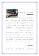 تحقیق در مورد پرورش ماهی قزل الا ‌ صفحه 2 