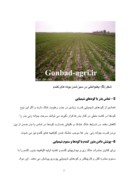 مقاله در مورد بذر گندم و ذرت ( کنترل و گواهی بذر ) صفحه 5 